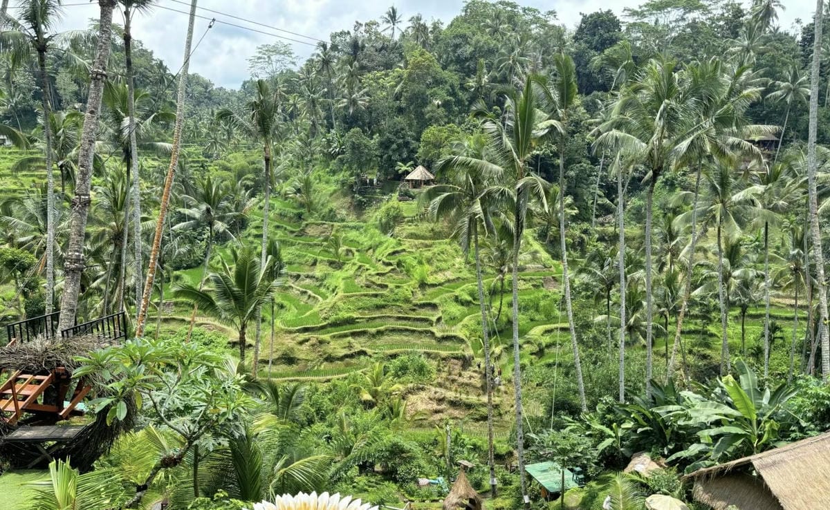 #印尼 🇮🇩峇里島客製化mini團 印尼傳統庭院+網美鞦韆 #印尼 🇮🇩峇里島客製化mini團 印尼傳統庭院+網美鞦韆