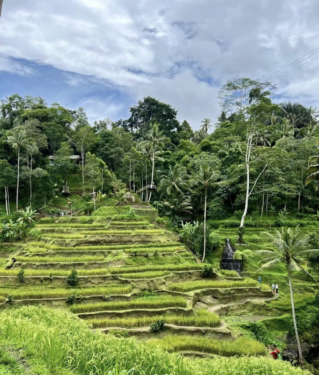 #印尼 🇮🇩峇里島客製化mini團 印尼傳統庭院+網美鞦韆 #印尼 🇮🇩峇里島客製化mini團 印尼傳統庭院+網美鞦韆