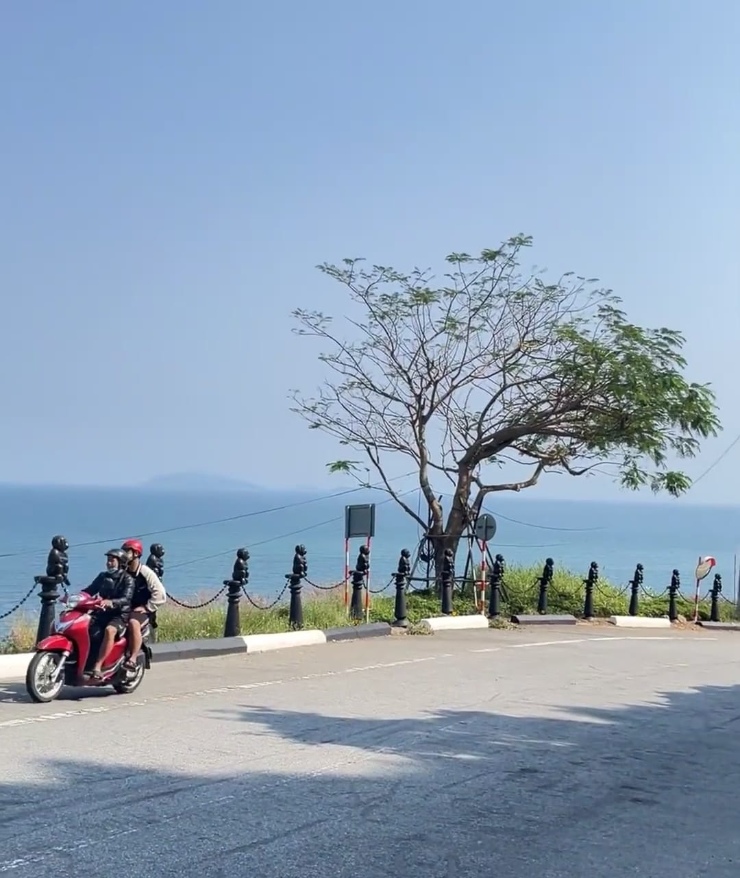 #🇻🇳越南 峴港(美溪海灘+山茶半島) #🇻🇳越南 峴港(美溪海灘+山茶半島)