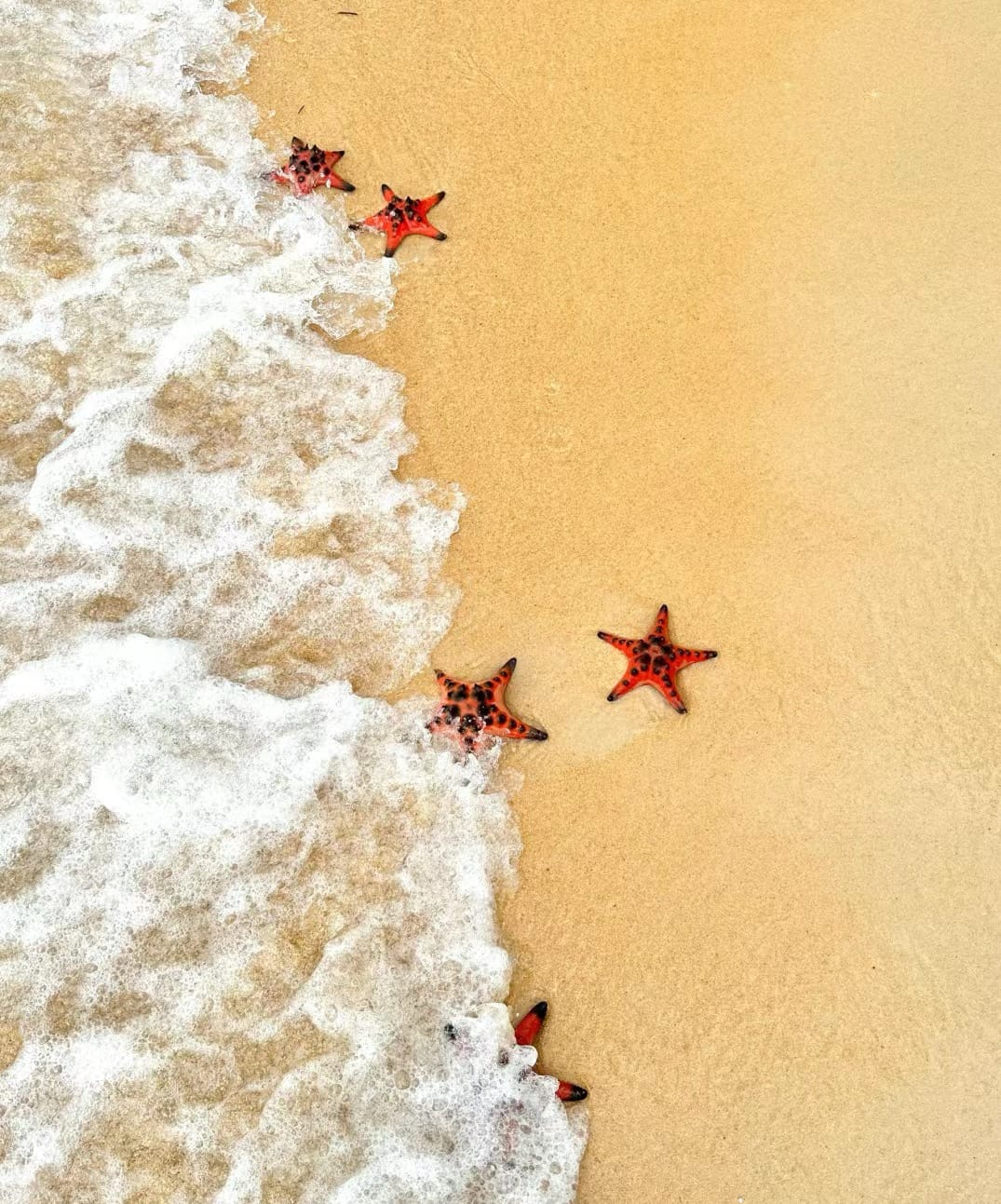 🇻🇳越南富國島 必去景點mini團分享 🇻🇳越南富國島 必去景點mini團分享