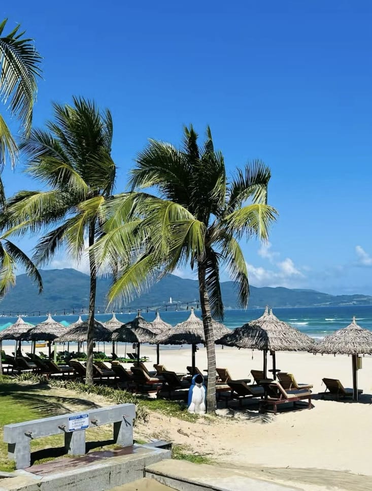 #🇻🇳越南 峴港(美溪海灘+山茶半島) #🇻🇳越南 峴港(美溪海灘+山茶半島)