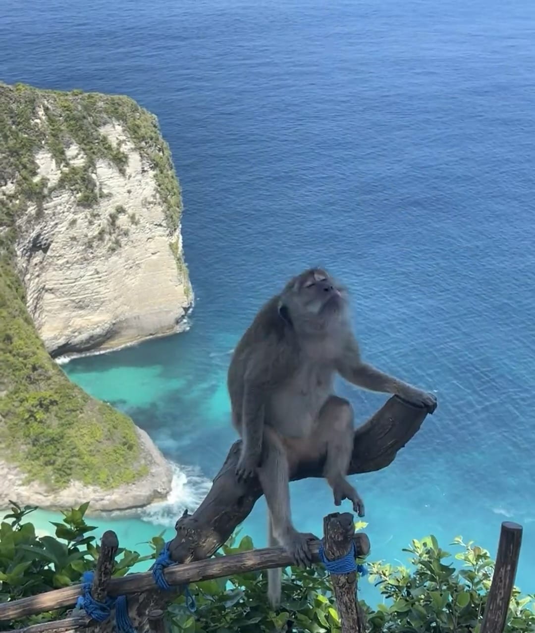 🇮🇩#印尼 峇里島3天2夜快閃行程 🇮🇩#印尼 峇里島3天2夜快閃行程