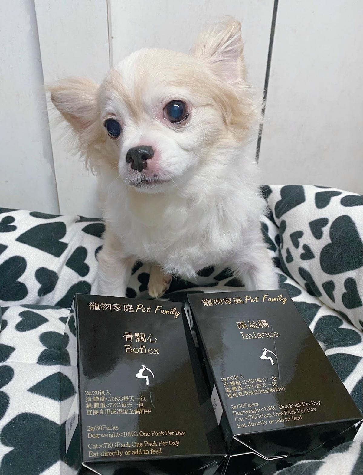 寵物益生菌推薦,寵物家庭Pet Family-藻益腸,上廁所 寵物益生菌推薦,寵物家庭Pet Family-藻益腸,上廁所