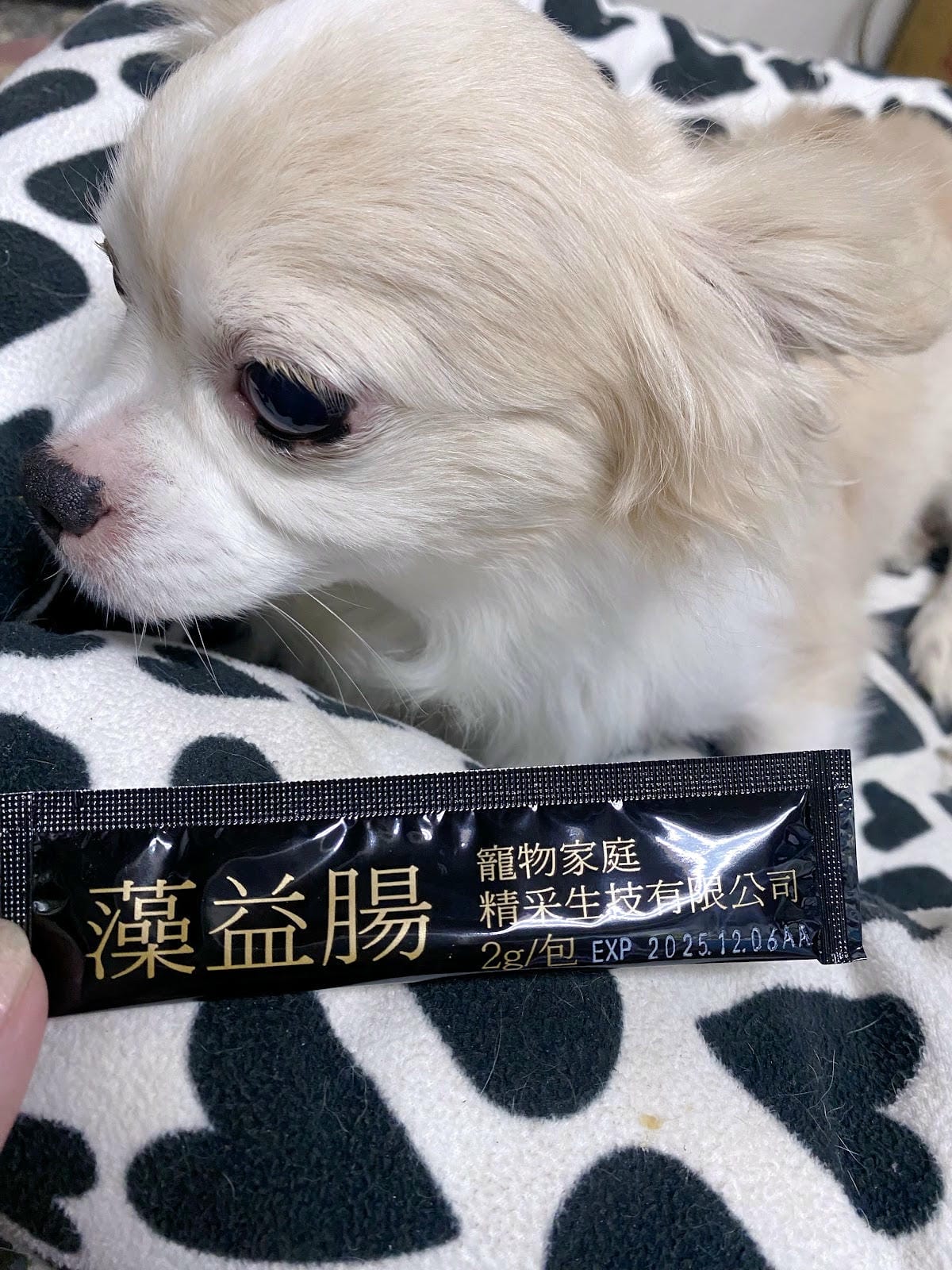 寵物益生菌推薦,寵物家庭Pet Family-藻益腸,上廁所 寵物益生菌推薦,寵物家庭Pet Family-藻益腸,上廁所