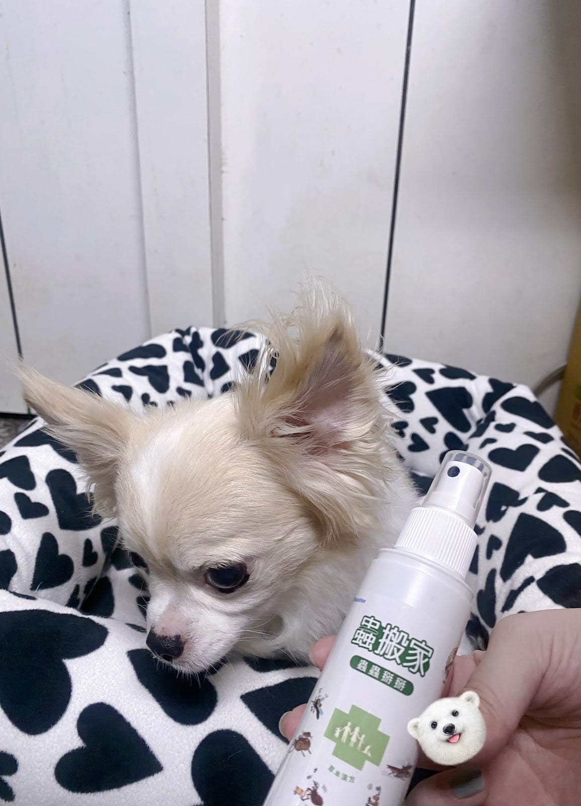 驅蟲噴霧推薦,蟲搬家驅離害蟲守護佳,蟲蟲不靠近🐶 驅蟲噴霧推薦,蟲搬家驅離害蟲守護佳,蟲蟲不靠近🐶