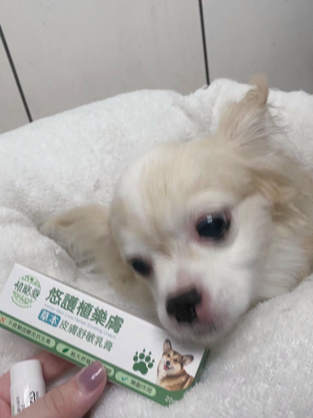 #分享 毛小孩必備,悠護植樂膚草本皮膚舒敏乳膏,再也不抓抓 #分享 毛小孩必備,悠護植樂膚草本皮膚舒敏乳膏,再也不抓抓