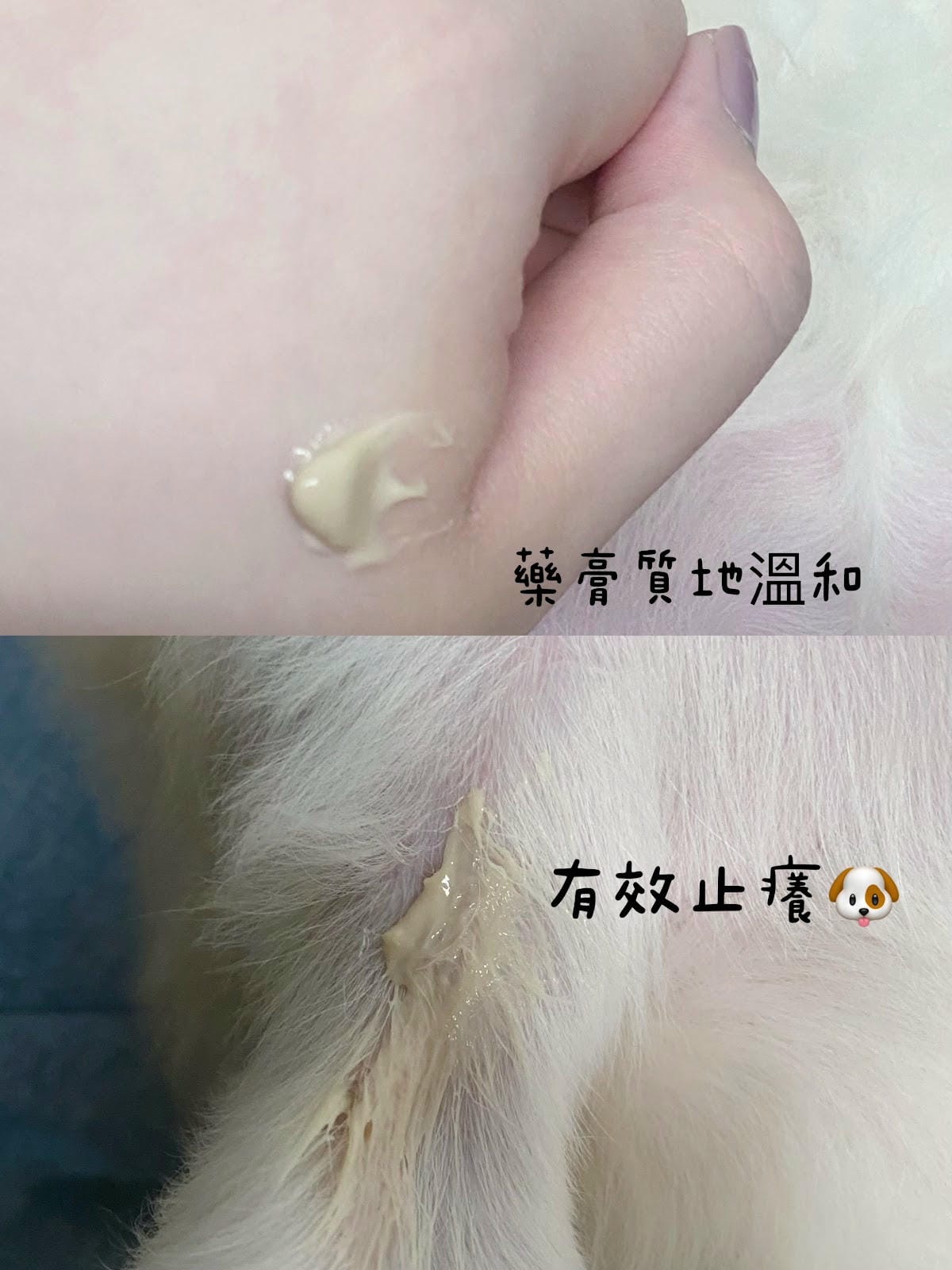 #分享 毛小孩必備,悠護植樂膚草本皮膚舒敏乳膏,再也不抓抓 #分享 毛小孩必備,悠護植樂膚草本皮膚舒敏乳膏,再也不抓抓