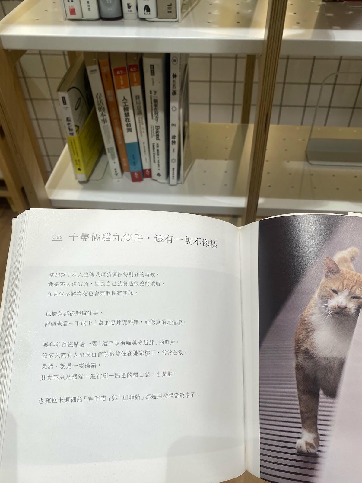 獺空間 Aotter Space /獺咖啡 Aotter C 獺空間 Aotter Space /獺咖啡 Aotter C