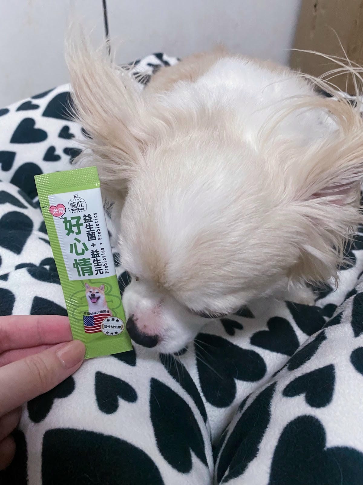 #推薦 威旺犬用好心情益生菌美國研發🇺🇸 #推薦 威旺犬用好心情益生菌美國研發🇺🇸