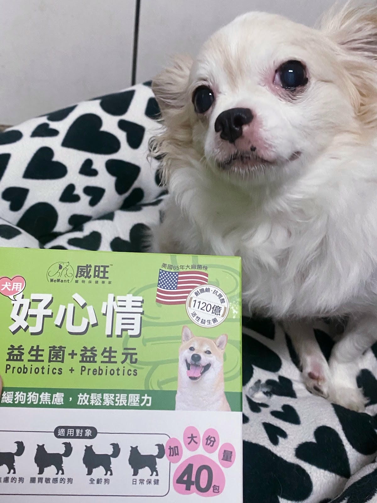 #推薦 威旺犬用好心情益生菌美國研發🇺🇸 #推薦 威旺犬用好心情益生菌美國研發🇺🇸