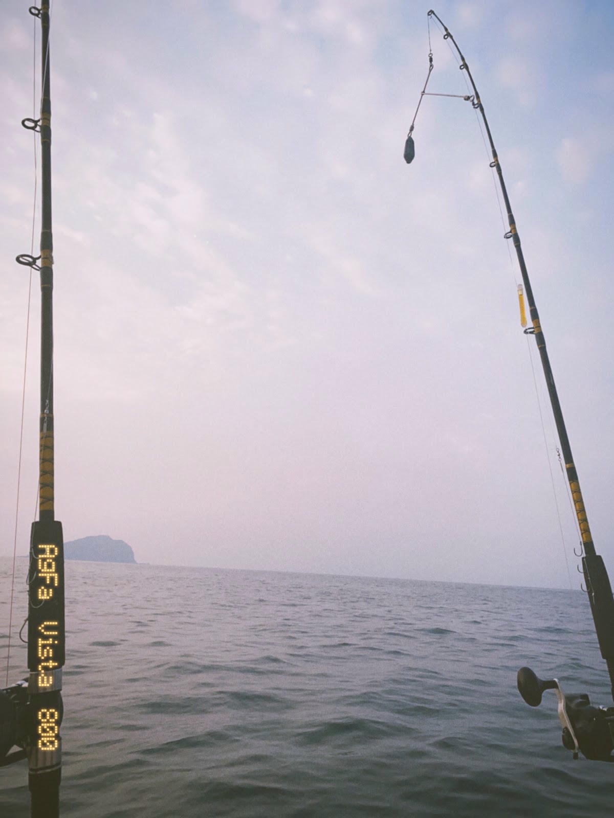 【基隆 】海釣初體驗,白帶魚海上大餐 【基隆 】海釣初體驗,白帶魚海上大餐