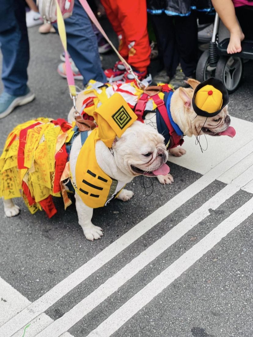🎃🎃2024萬聖節《府中搞什麼鬼》 免費活動