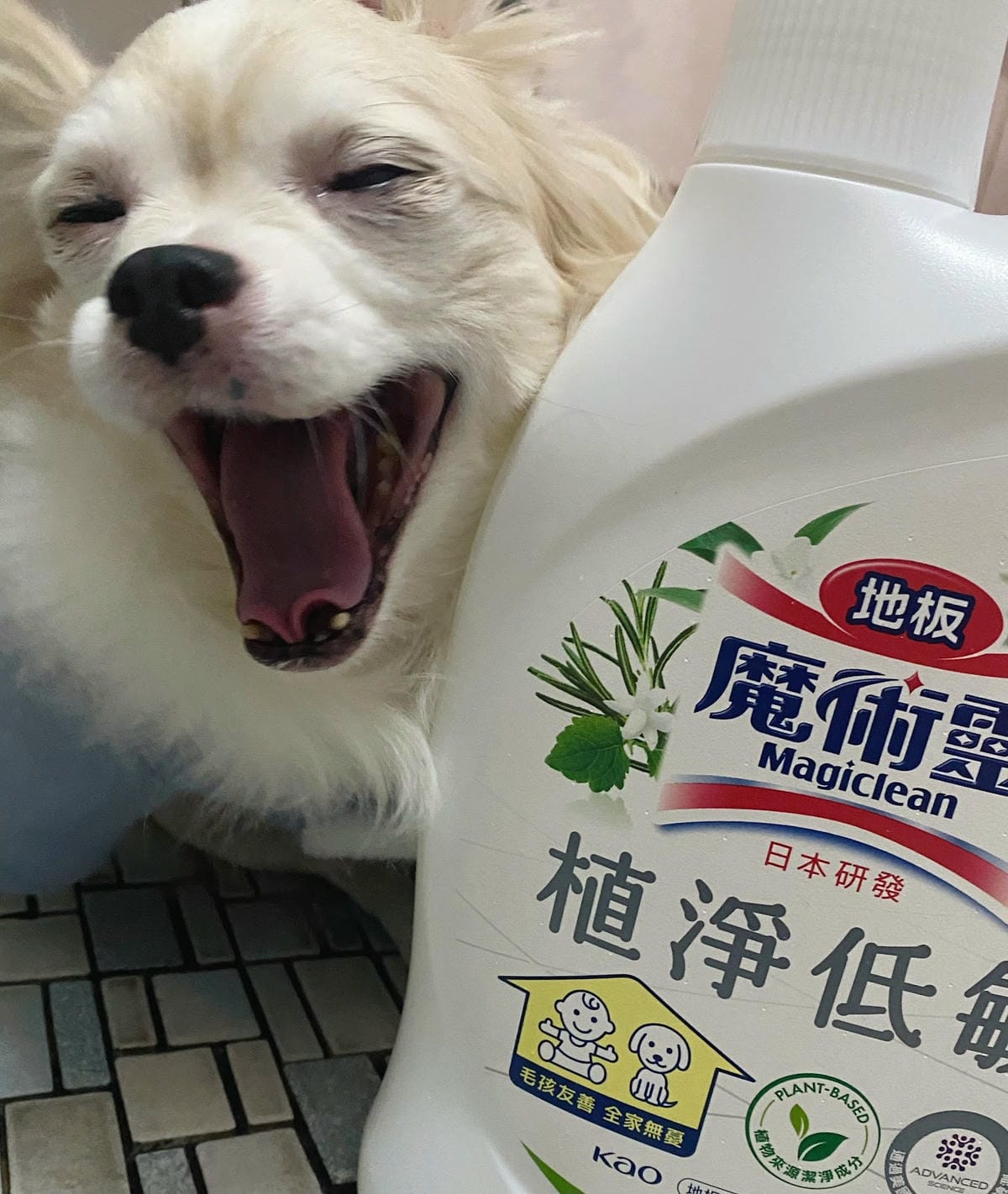#推薦 魔術靈毛孩友善植淨消臭浴室清潔劑,魔術靈毛孩友善植淨 #推薦 魔術靈毛孩友善植淨消臭浴室清潔劑,魔術靈毛孩友善植淨