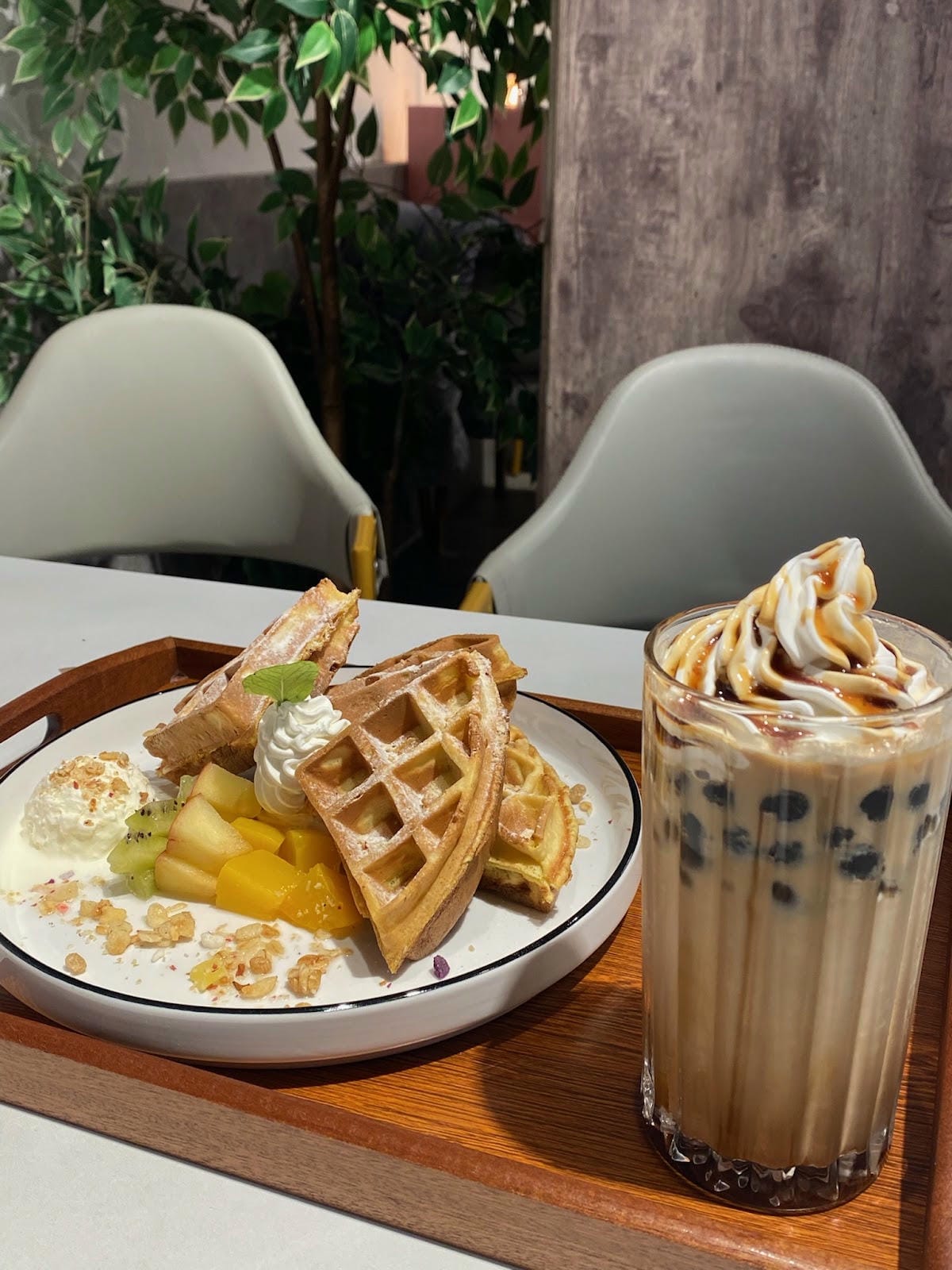 平價貓咪咖啡廳,小樽手作珈啡 民權西路店🐈