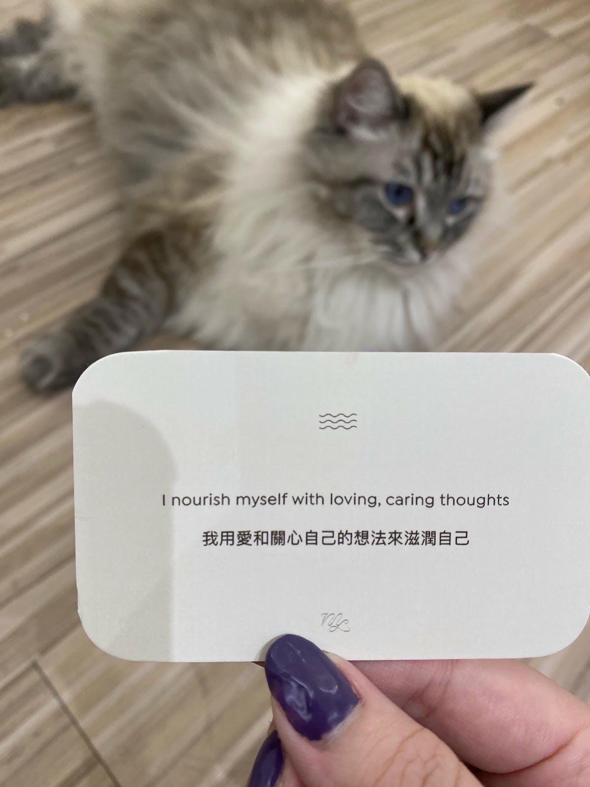 #分享 大安站睫毛管理 .Moodlab工作室 #分享 大安站睫毛管理 .Moodlab工作室