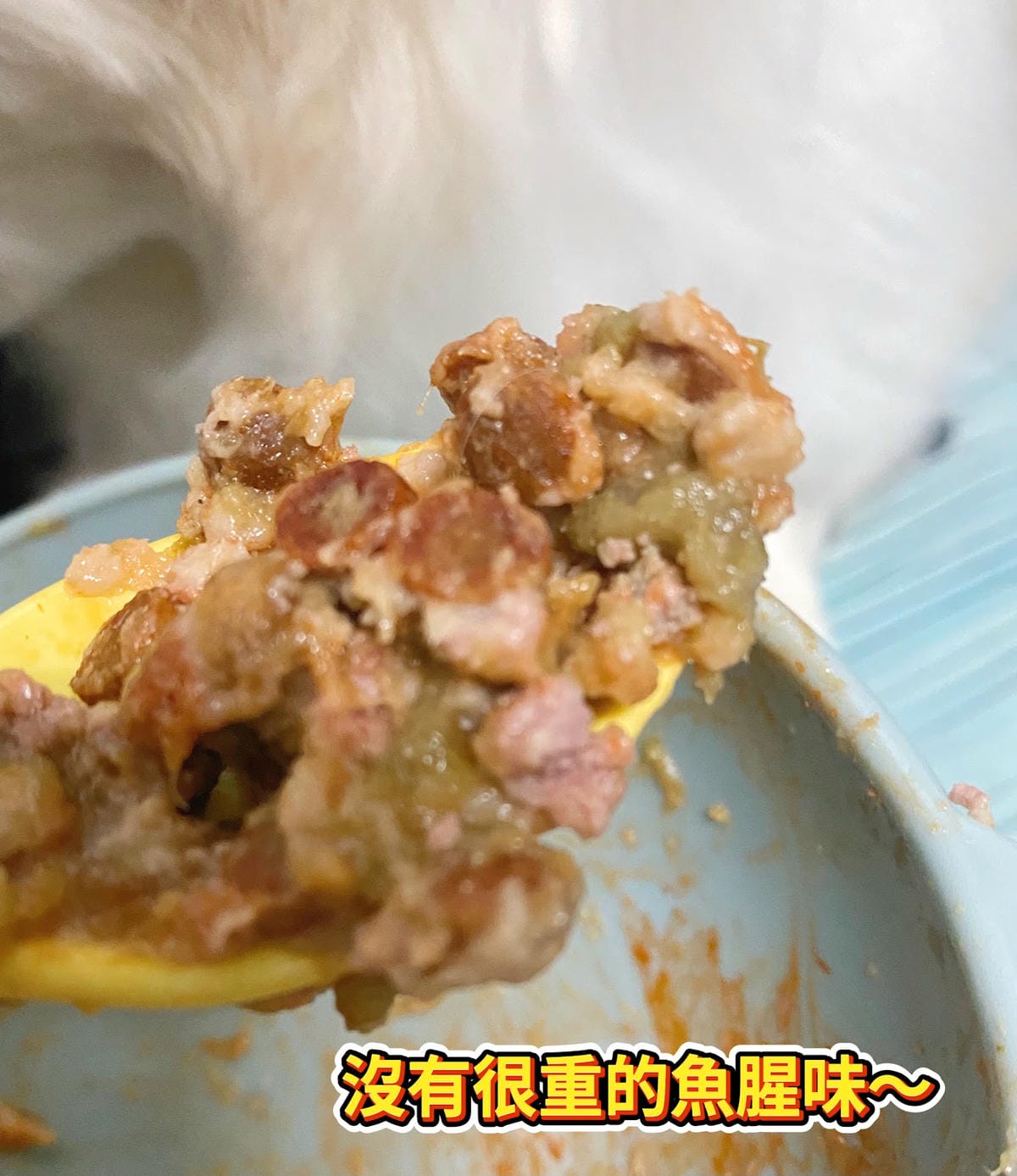 #推薦【喵皇奴 魚油PLUS 開箱日記】獸醫師也按讚的「毛孩