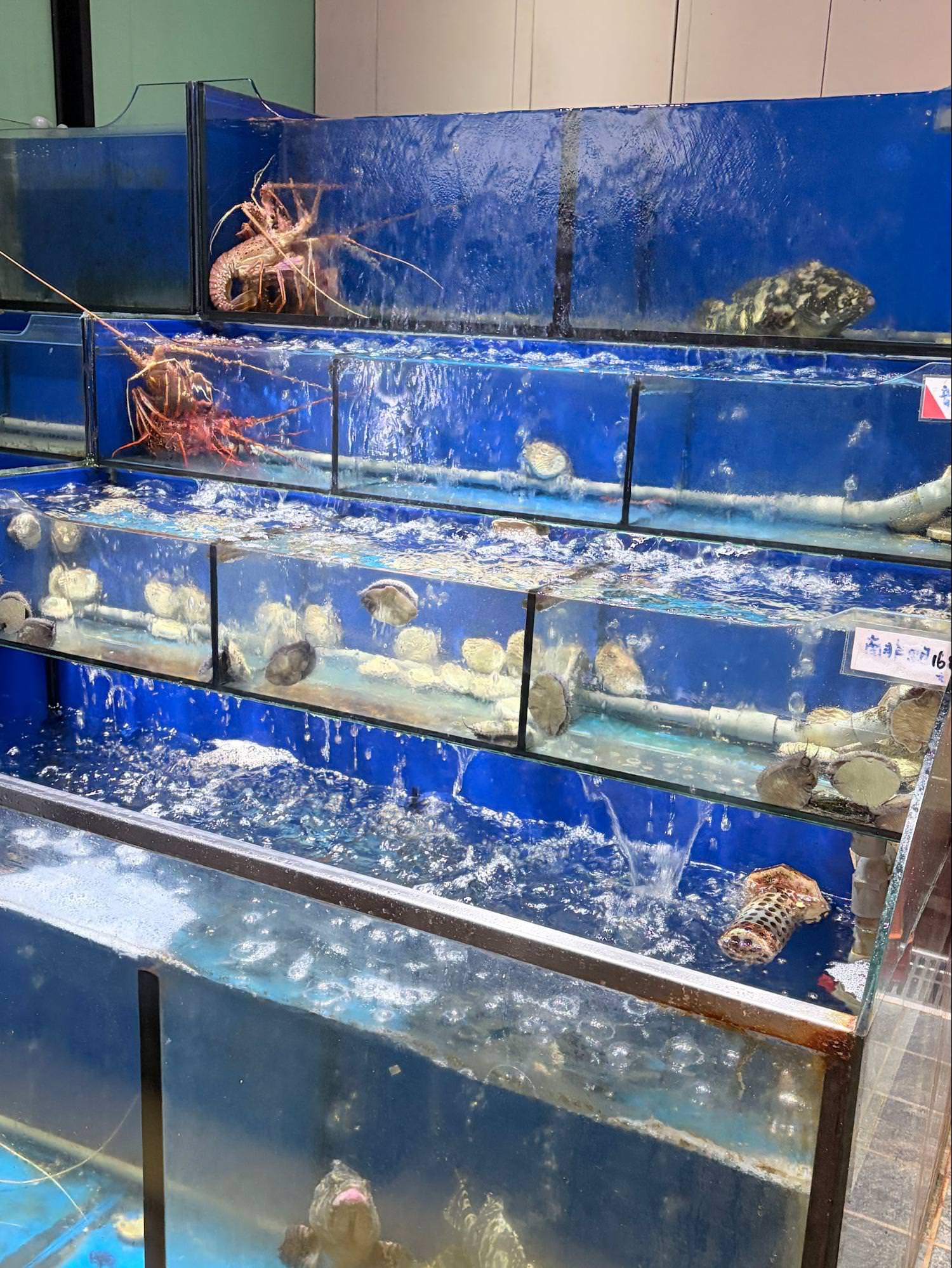 林口美食推薦｜水蛙師私廚料理人均$558｜高CP值私房中式料理・聚餐首選