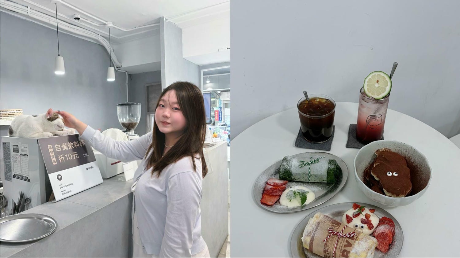 台北貓咪咖啡廳 店貓 小雞 可愛互動
