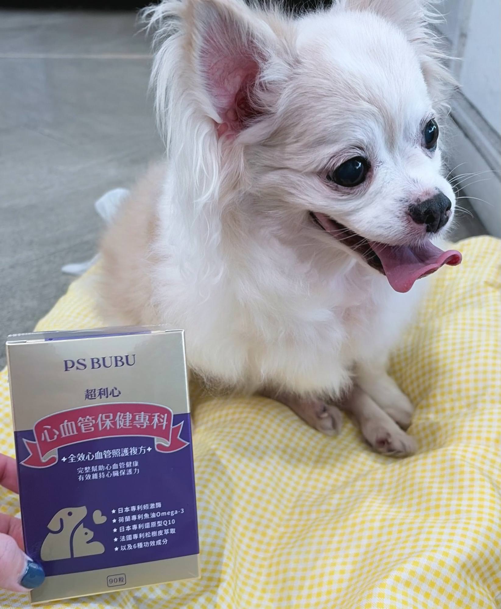 PS BUBU 超利心老狗心臟保健實測