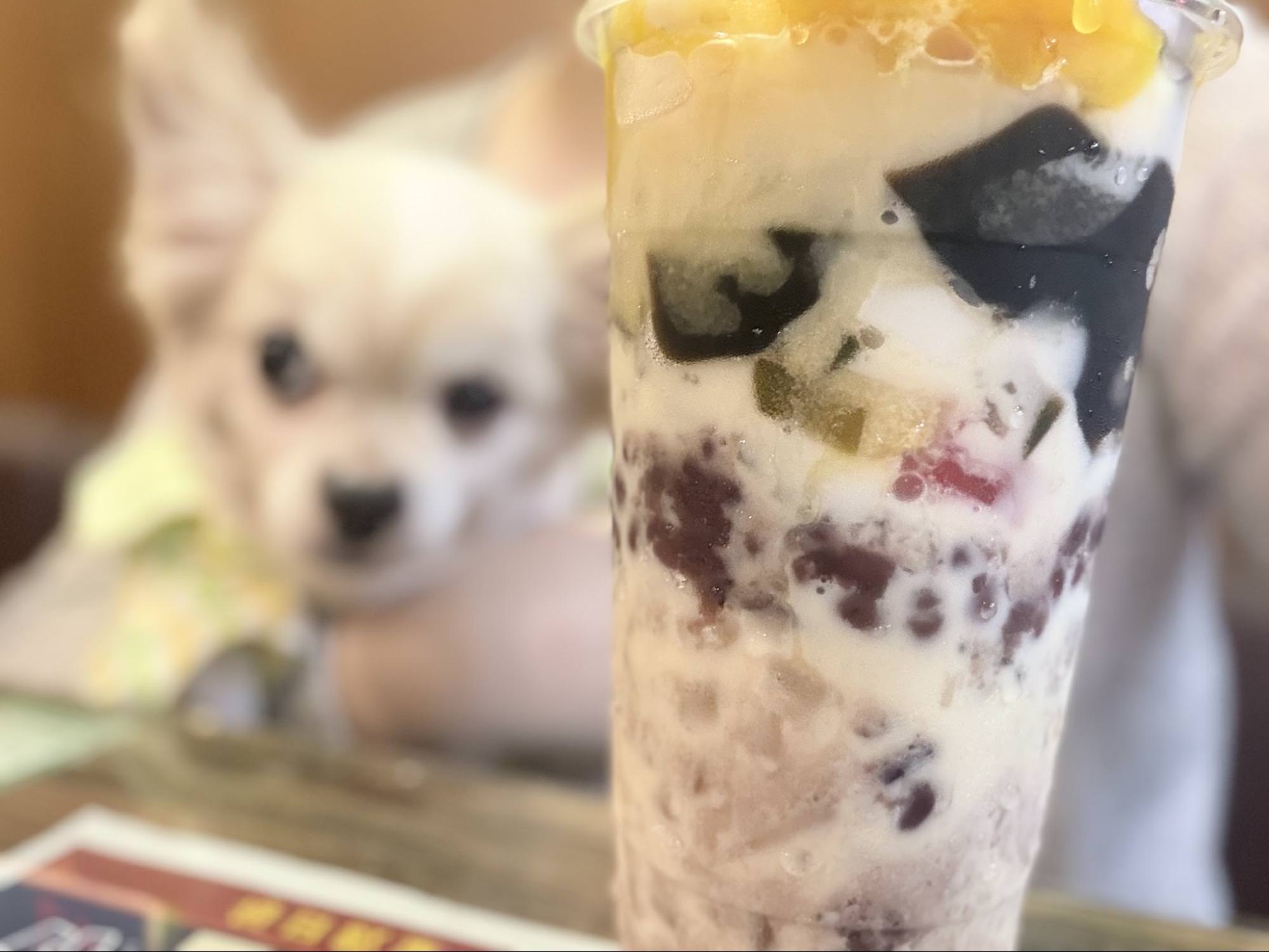 【台北美食】🇭🇰✨老字號道地港味:波記冰室9 道餐點真實開箱!黯然銷魂飯、爆漿漏奶華一次滿足|寵物友善 - 第15張圖 台北東區老字號波記茶餐廳滿桌寵物友善全景照片